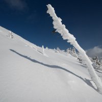 * :: Александр Иванов