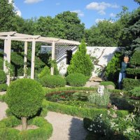 На фестивале цветов и садов :: Дмитрий Никитин