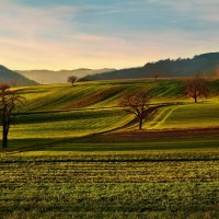 evening :: Elena Wymann