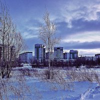 Ноябрь...Городская окраина  Нефтеюганска :: Владимир 