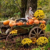 Инсталляция на территории мужского монастыря :: Игорь Сикорский Инсталляция на территории мужского монастыря :: Игорь Сикорский