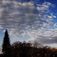 Ноябрьский денёк :: Людмила Смородинская