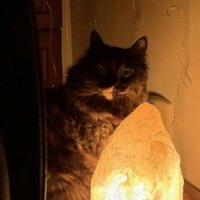 Загадка :: Алексей Домрин