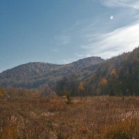 В Жигулях. Самарская область :: MILAV V