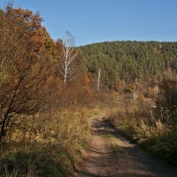 Осенний день :: MILAV V