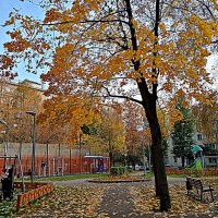 Осень. :: Владимир Драгунский