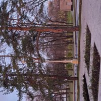 Утро на ВДНХ :: Алексей Домрин