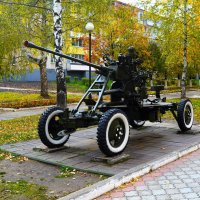Новочебоксарск. Автоматическая 37-мм зенитная пушка  АЗП 39 (61к)  на Аллее Славы. :: Пётр Чернега