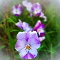 ♥ :: Ирина Via ♥ :: Ирина Via