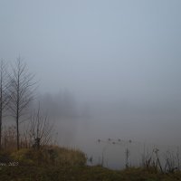 Река в тумане :: Александр Синдерёв