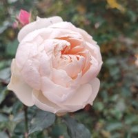 ,,, :: Сергей Тимоновский