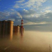 Туманное утро :: Екатерина Леш