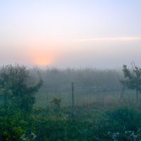 осень в саду :: Genych Bartkus