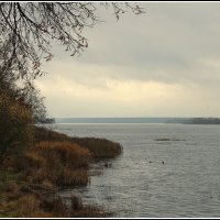 Пришла унылая пора... :: Aleksandr Gal