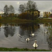 *** :: Aleksandr Gal