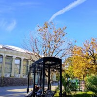 ПРИМОРСКИЙ ПАРК :: Tata Wolf ПРИМОРСКИЙ ПАРК :: Tata Wolf