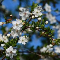 Так хочется Весны..... :: Sergey (Apg) Так хочется Весны..... :: Sergey (Apg)