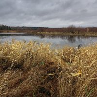Картинка поздней осени :: Валентин Котляров Картинка поздней осени :: Валентин Котляров