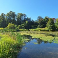 Ах лето :: Наталья 