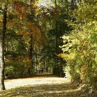 Что происходит? Обычная осень!... :: Галина 