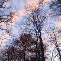 Рассвет :: Сапсан 