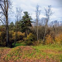 Осенние прогулки :: Veera V