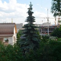 2016.Зарядье.стройка. :: Галина R...