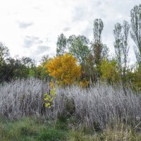 Природа Крыма :: Валентин Семчишин Природа Крыма :: Валентин Семчишин