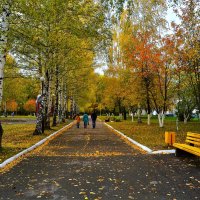 Новочебоксарск. Осень на бульваре Гидростроителей. :: Пётр Чернега