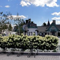 В парке Гарибальди. Самарская область :: MILAV V В парке Гарибальди. Самарская область :: MILAV V