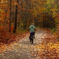 Осенние прогулки :: Юрий. Шмаков