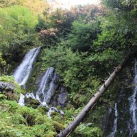 Водопады озера Рица :: Ольга Водопады озера Рица :: Ольга