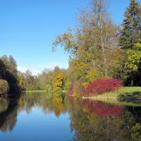 Осенняя пора :: dli1953 