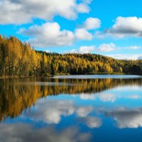 На озере :: Юлия Голикова