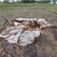 все что осталось... :: navalon M