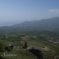 Природа Крыма :: Amazing Cosmea