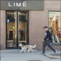 Lime :: Александр Тарноградский