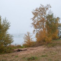 берег р. Волга :: Владимир Зеленцов