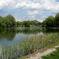 Пруд Садки :: Игорь Белоногов