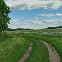 Самарские просторы :: Надежда Самарские просторы :: Надежда