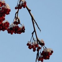 Ноябрь :: Андрей 