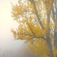 Утро :: Леонид Соснин