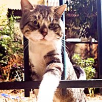 привет ребята :: Аркадий Басович