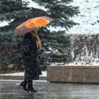 *** :: Анатолий. Chesnavik. *** :: Анатолий. Chesnavik.