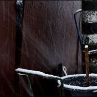 Первый снег :: Сергей Премонишын