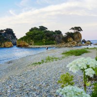 Приморье :: Татьяна Маркова