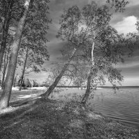 НА БЕРЕГУ. :: Николай 