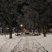 Первый снег :: Денис Бочкарёв