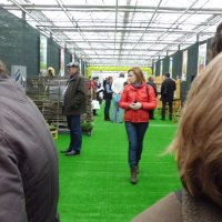 ВЫСТАВКА :: СЕРГЕЙ ФИЛОЧКИН