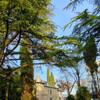 РИВЬЕРА :: Tata Wolf